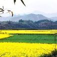 農場村(雲南省姚安縣棟川鎮農場村) 農場村(雲南省姚安縣棟川鎮農場村)