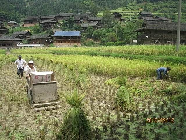 壽洞村 壽洞村