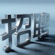 社會招聘(人才招聘方式) 社會招聘(人才招聘方式)