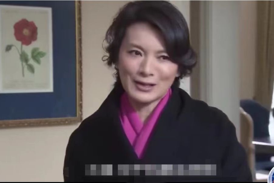 杜梅(家庭、倫理、喜劇《岳母的幸福生活》中的角色) 杜梅(家庭、倫理、喜劇《岳母的幸福生活》中的角色)