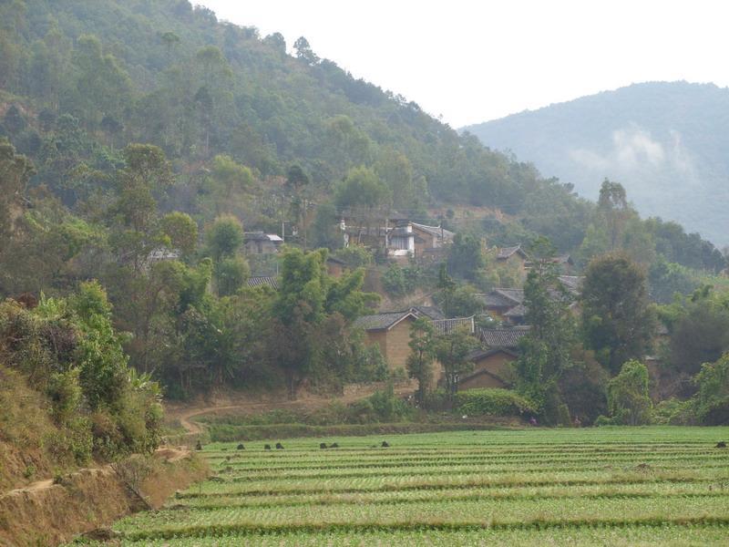 浪二村 浪二村