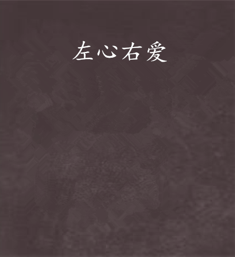 左心右愛 左心右愛