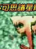 鐘漢良 鐘漢良