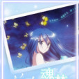 魂夢浮生 魂夢浮生