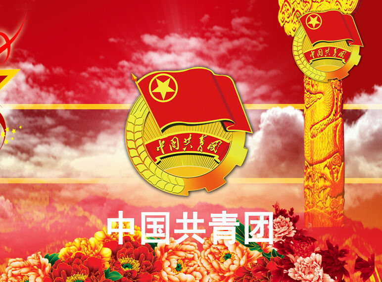 中國共產主義青年團總支部委員會(團總支)