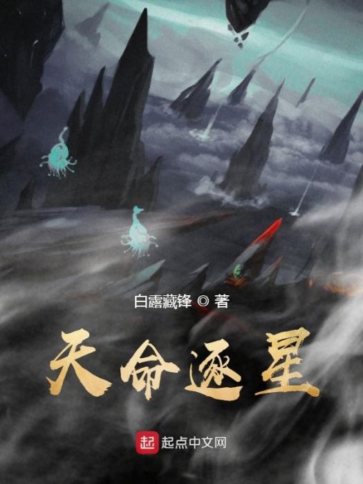 天命逐星 天命逐星