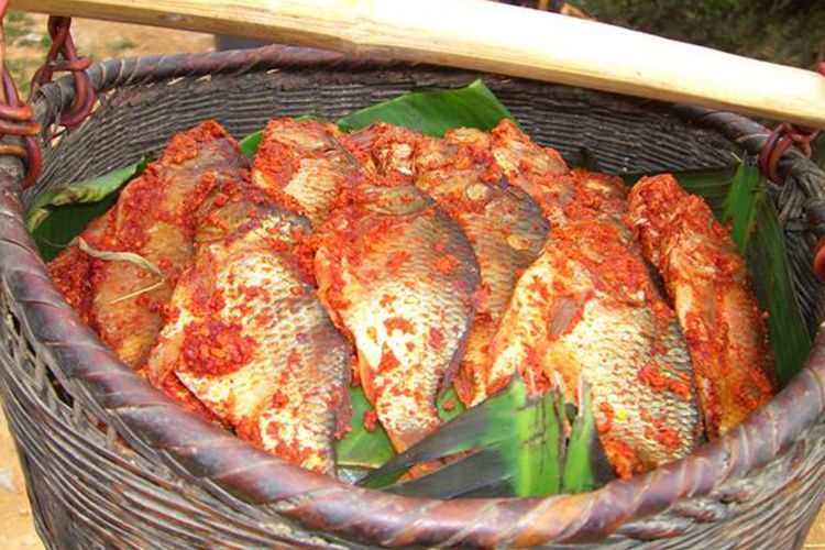 苗族酸魚 苗族酸魚
