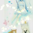 星星與貓 星星與貓