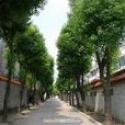 華東村(浙江省紹興市上虞區瀝海鎮下轄村) 華東村(浙江省紹興市上虞區瀝海鎮下轄村)
