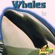 Whales(2003年PowerKids Press出版的圖書) Whales(2003年PowerKids Press出版的圖書)