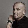 多米尼克·珀塞爾(Dominic Purcell) 多米尼克·珀塞爾(Dominic Purcell)