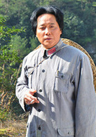 聶榮臻(2013年林永健、齊歡主演電視劇)