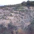 淡栗土 淡栗土