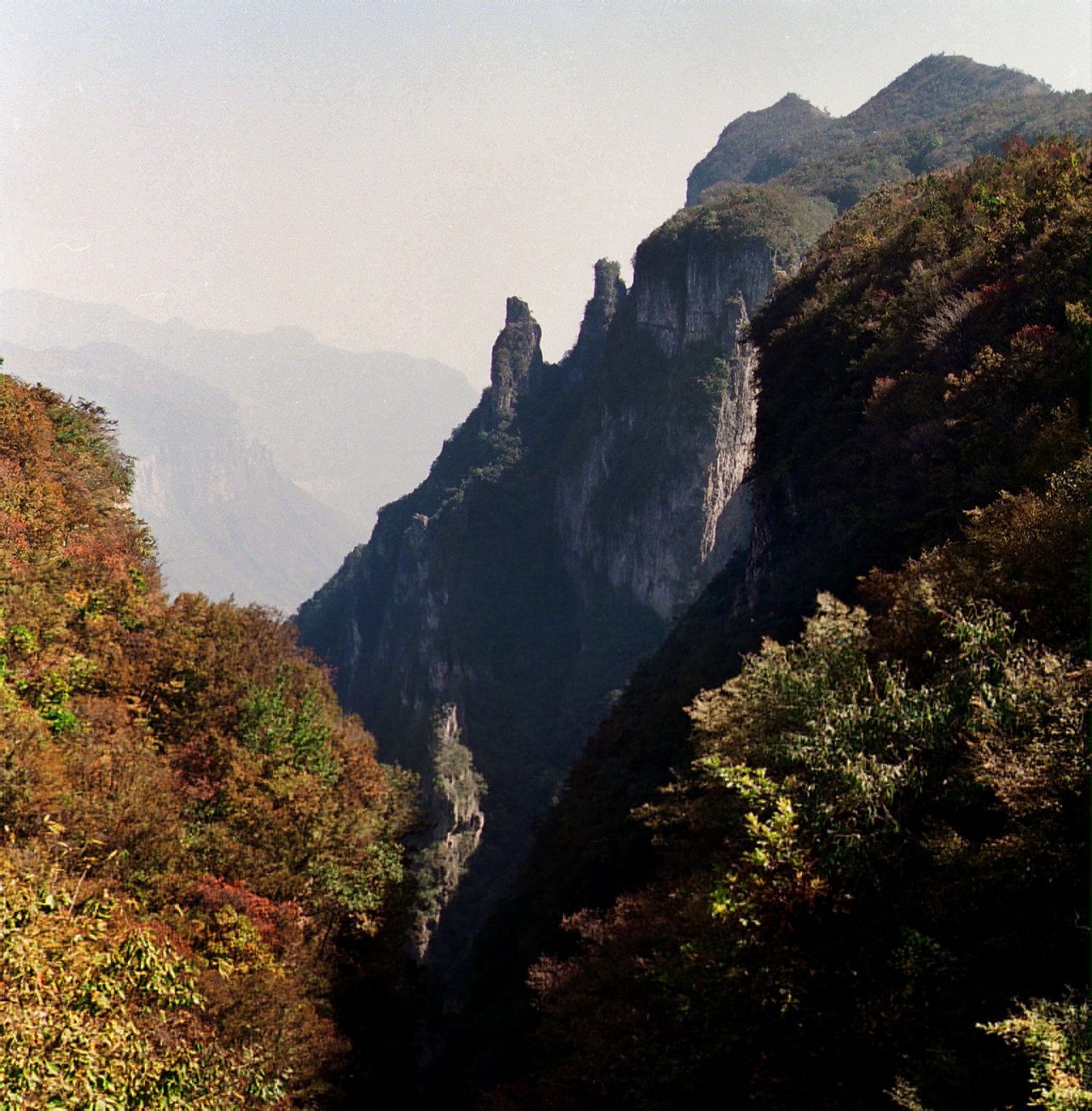 雲台山國家森林公園