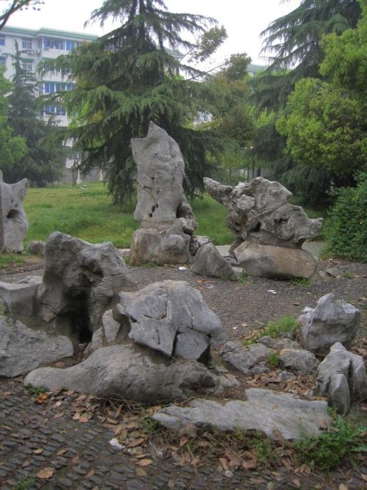 金華公園 金華公園