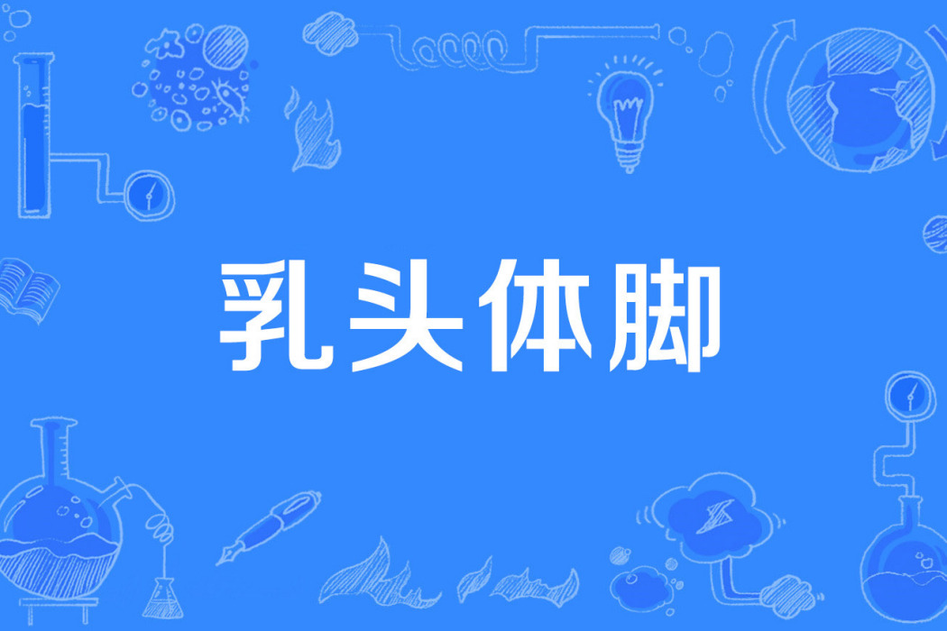 乳頭體腳 乳頭體腳