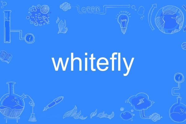 whitefly whitefly