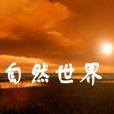 自然世界 自然世界