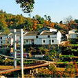 桑家溝村(河南省鞏義市魯莊鎮下轄村) 桑家溝村(河南省鞏義市魯莊鎮下轄村)
