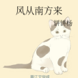 風從南方來 風從南方來