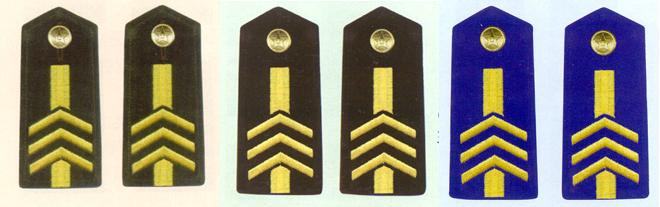 陸海空軍三級專業軍士肩章(1993-1999)