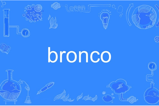 bronco bronco