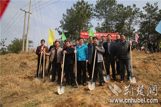 湖北省高院赴英山“三萬”駐點村開展義務植樹活動