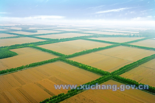 許昌國家農業科技園區