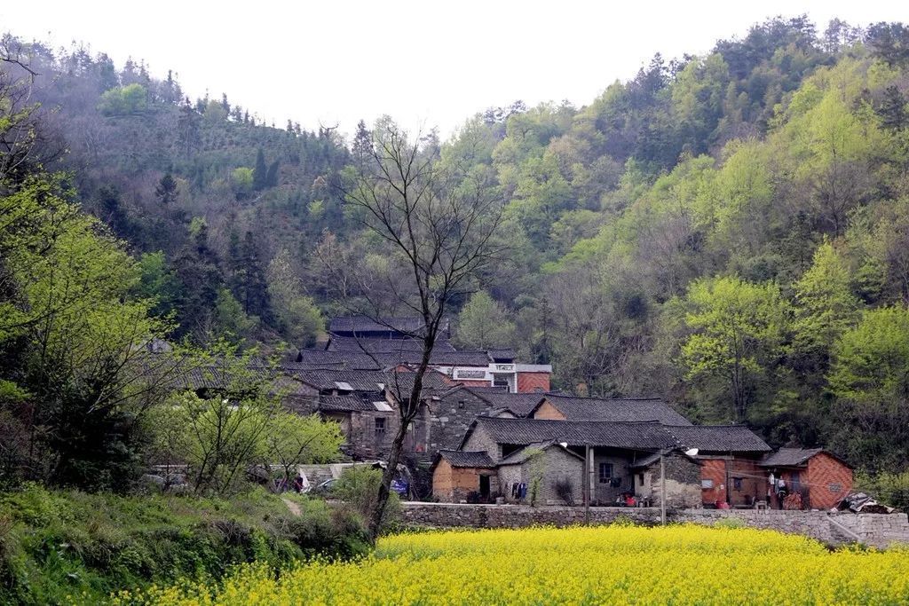 奔乾村 奔乾村