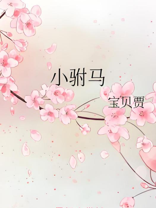 小駙馬 小駙馬