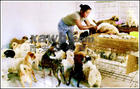 北京人與動物環保科普中心