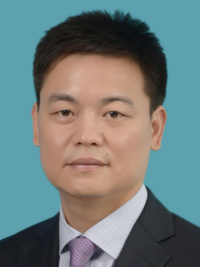 王成(安徽省合肥市廬江縣委常委、副縣長)