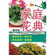 家庭花典 家庭花典