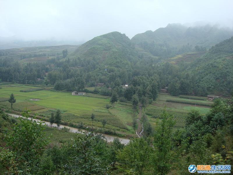 新棚村(雲南魯甸縣水磨鎮下轄村)