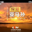 探潮亞馬孫