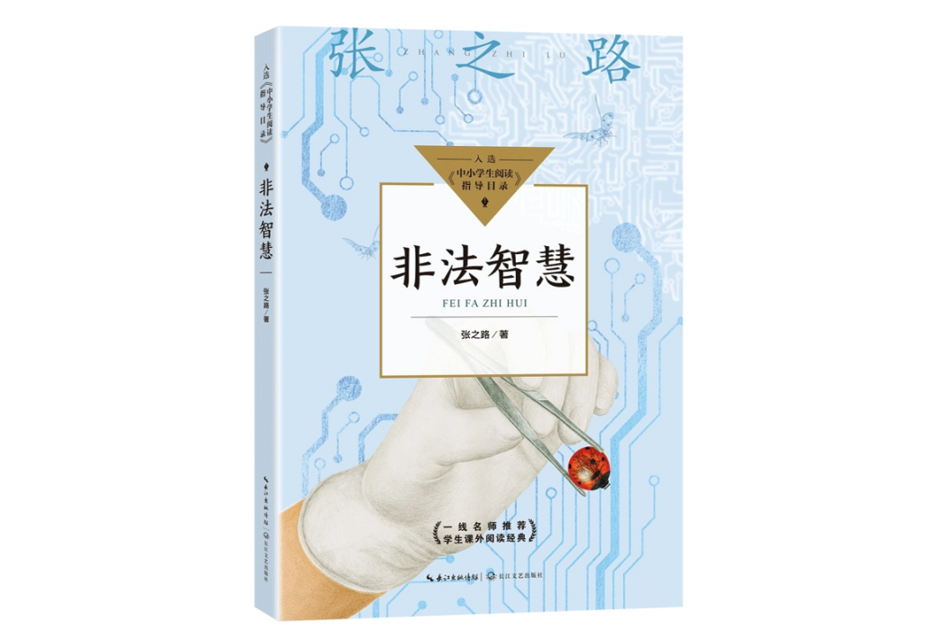 非法智慧(2021年長江文藝出版社出版的圖書) 非法智慧(2021年長江文藝出版社出版的圖書)