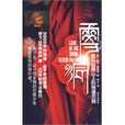 雪洞(維琪·麥肯基小說)