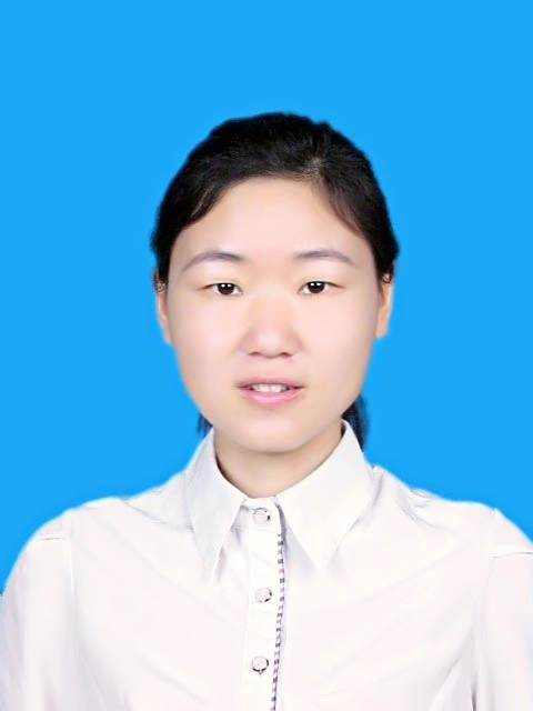 朱元元(宿州學院副教授，碩士生導師)