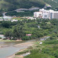 東涌河 東涌河