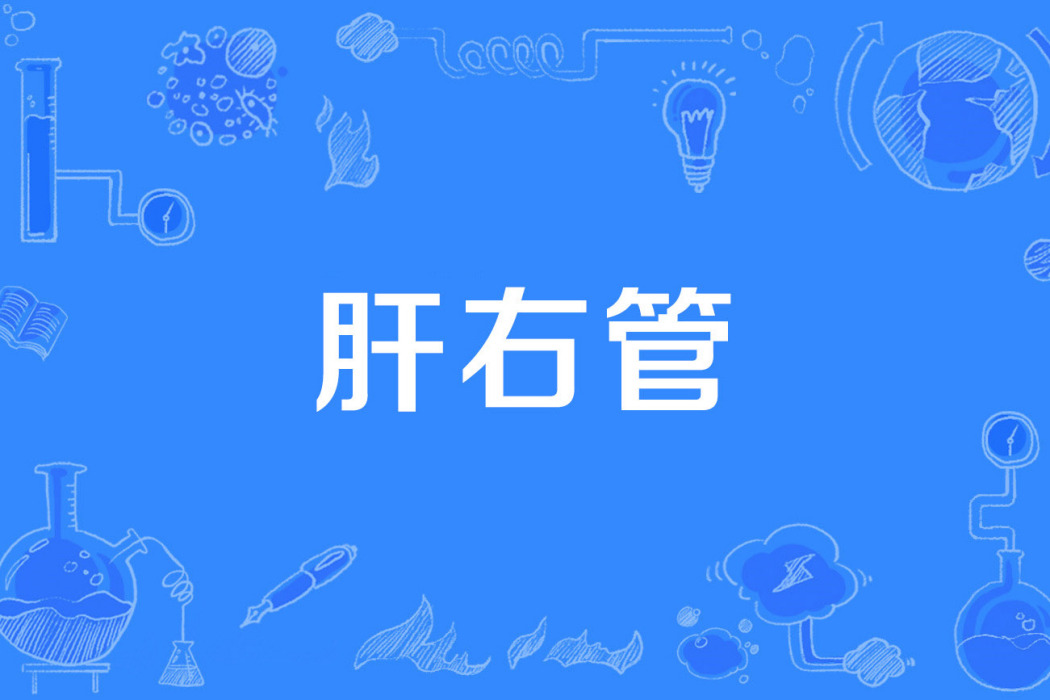 肝右管 肝右管