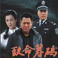 致命籌碼(中國2013年郝一平執導當代涉案題材電視劇) 致命籌碼(中國2013年郝一平執導當代涉案題材電視劇)