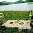 黃洞村(廣東省東莞市鳳崗鎮下轄村)