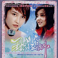 那小子真帥(2007年中國電視劇) 那小子真帥(2007年中國電視劇)