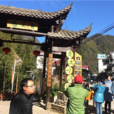 黃土嶺村(浙江省衢州市柯城區七里鄉黃土嶺村) 黃土嶺村(浙江省衢州市柯城區七里鄉黃土嶺村)