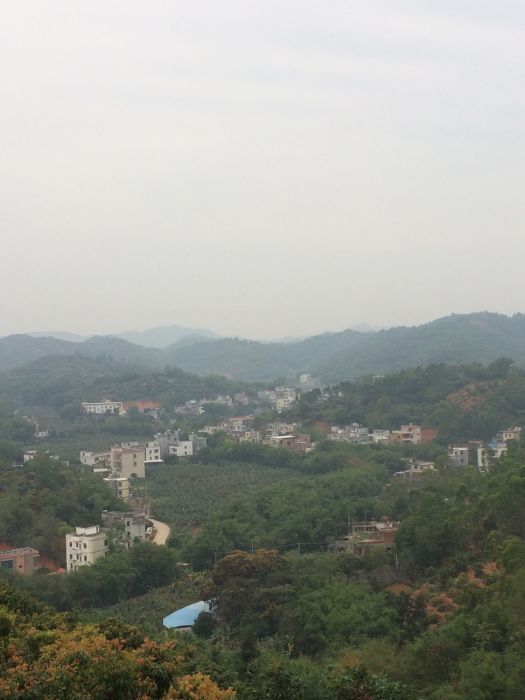 雷垌村 雷垌村