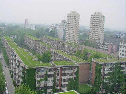 成都市屋頂綠化及垂直綠化技術導則（試行）