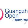 廣州國際女子網球公開賽(廣州國際女子公開賽)