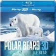 北極熊(英國紀錄片)