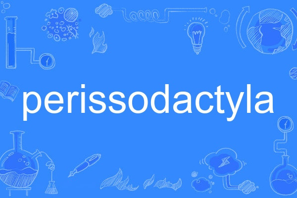 perissodactyla perissodactyla