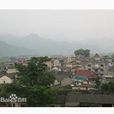 川南村(浙江省開化縣楊林鎮川南村) 川南村(浙江省開化縣楊林鎮川南村)